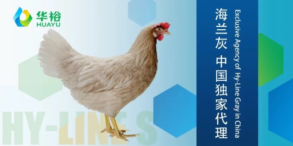 元富证券 最新通知：滁州森沃更名为哈特镘