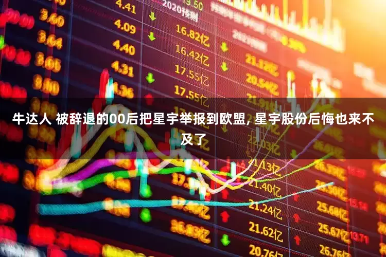 牛达人 被辞退的00后把星宇举报到欧盟, 星宇股份后悔也来不及了